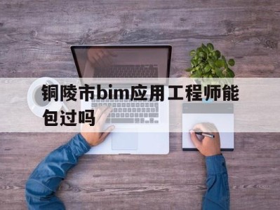 bim应用工程师证书人社局有补助吗铜陵市bim应用工程师能包过吗