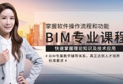 国际BIM工程师,bim工程师国家官网