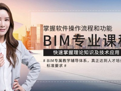 国际BIM工程师,bim工程师国家官网