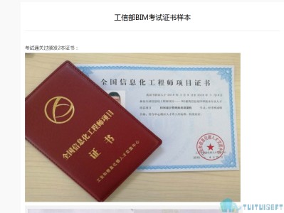 bim二次开发工程师和程序员,bim工程师证书和二建证书哪个好