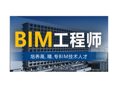 有bim工程师这个职业吗,有bim工程师这个职业吗女生
