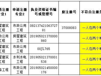 包含监理工程师挂靠价格的词条