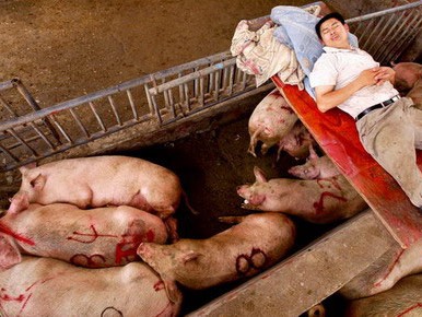 猪圈设计图猪圈设计图片大全 农村 家用