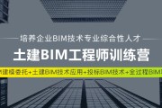 bim工程师需要会的软件,bim专业工程师需要什么资历