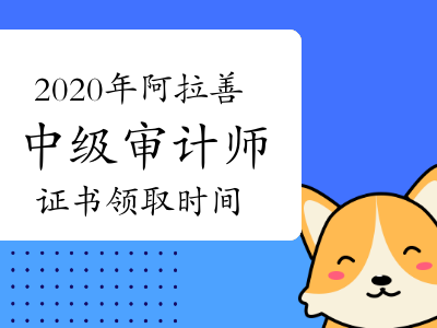 关于审计单位要不要造价工程师的信息