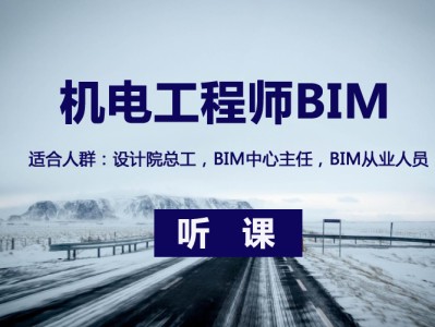 bim助理电气工程师考试,bim电力工程师的作用有哪些