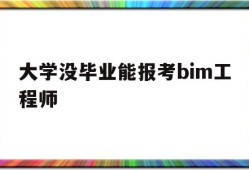 大学考bim有用吗大学没毕业能报考bim工程师