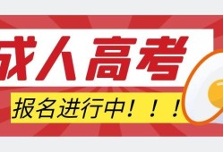 二级建造师继续教育证书查询,二级建造师继续教育证书