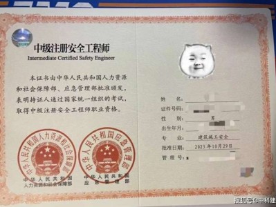 2013注册安全工程师成绩,2013年注册安全工程师