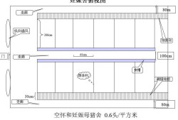 水泡粪猪舍设计图,猪舍设计图