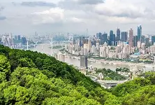 重庆注册安全工程师准考证打印时间重庆2020注册安全工程师考试证书领取时间