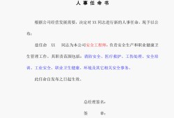 专业监理工程师任命书的简单介绍