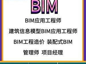 bim高级项目管理工程师,bim高级项目管理师挂靠费多少钱一年
