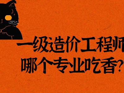 造价工程师入门手册造价工程师入门手册观后感