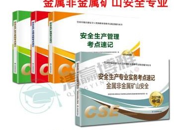 包含煤矿注册安全工程师持证人数的词条