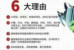 bim工程师值得考吗,bim工程师以后要普及吗