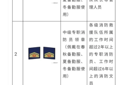 注册消防工程师等级排名注册消防工程师等级