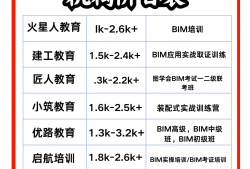 西藏工程项目西藏工程师认可的bim工程师