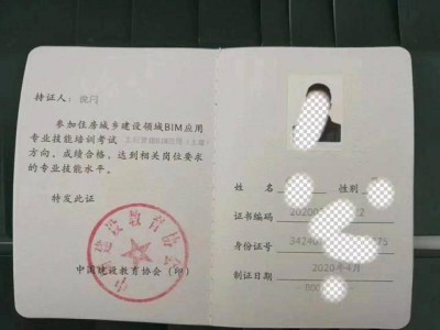 BIM应用高级工程师租出去,bim高级工程师可以租借出去吗