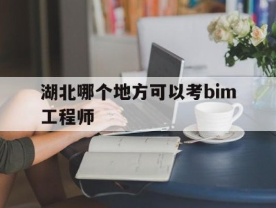 湖北哪个地方可以考bim工程师,湖北省b证考试