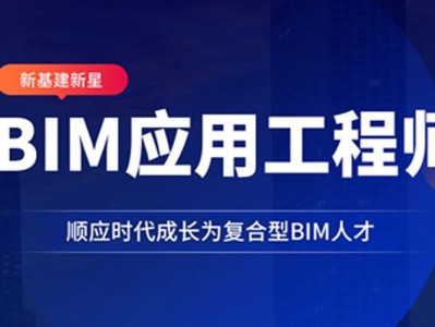 包含bim工程师国外能用吗的词条