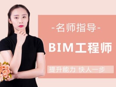 花钱买编制工作值得吗,花钱买bim工程师