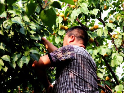 老庄论坛,老庄教育官网