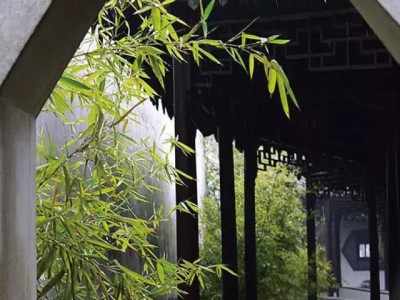 网易园林北京网易园区位置