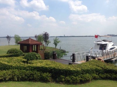 淀山湖一号淀山湖一号大虾是什么虾种