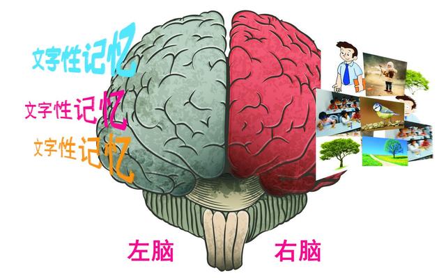 想考二级建造师，报考所需的条件及备考所需的书籍资料有哪些？  第2张