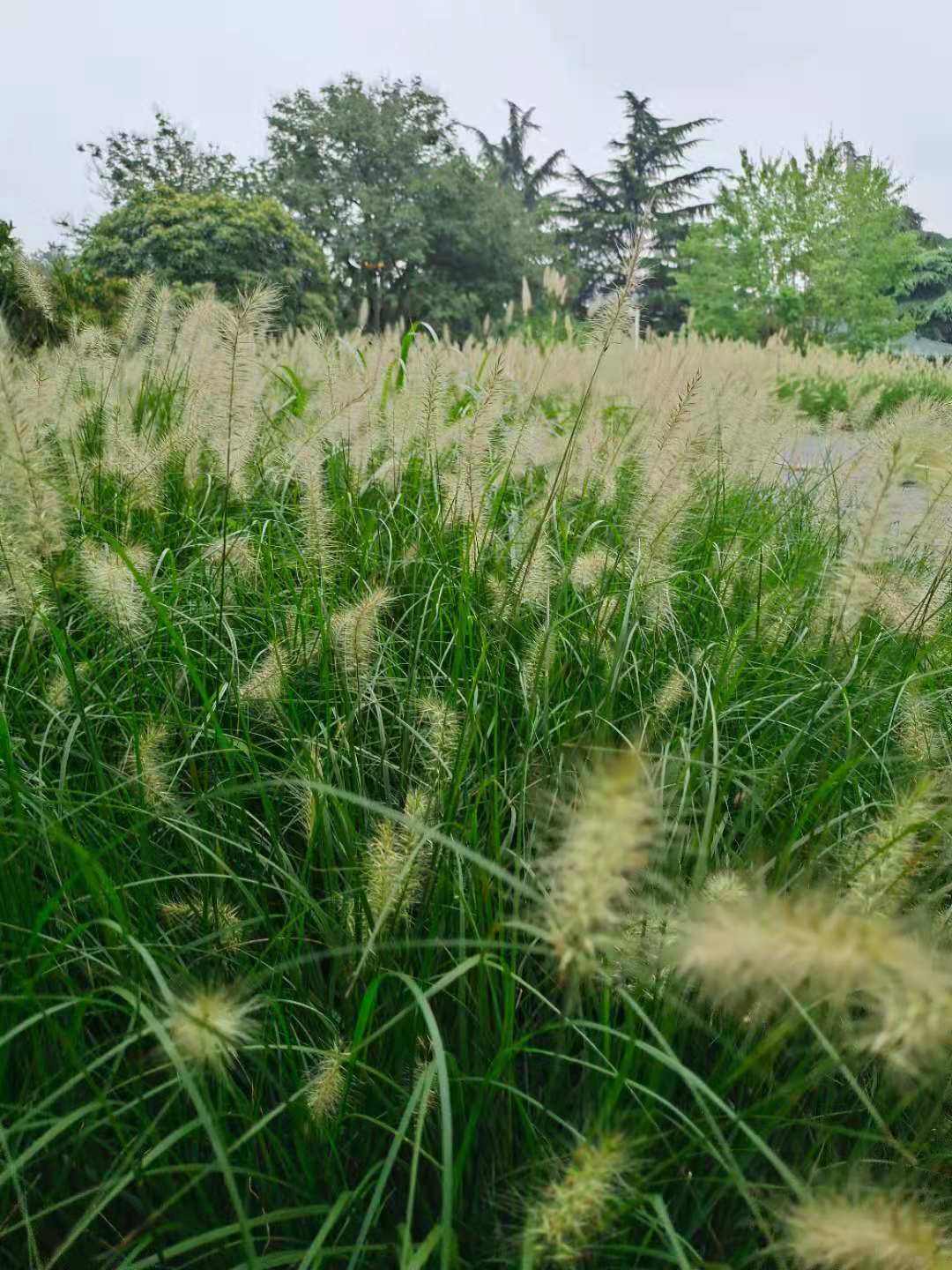 曾德植监理工程师,监理工程师报考条件  第2张