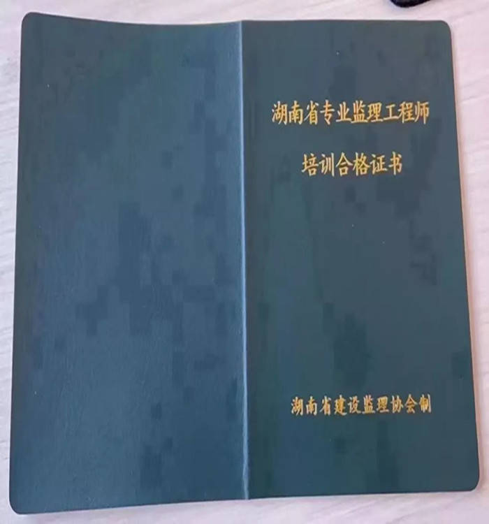 主导专业监理工程师,专业监理工程师属于什么层  第1张